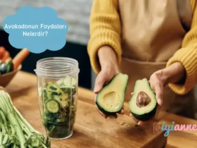Avokadonun faydaları nelerdir?