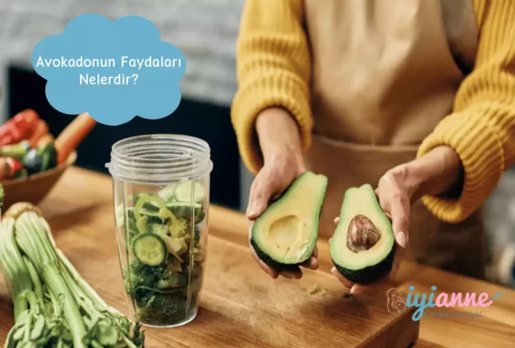 Avokadonun faydaları nelerdir?