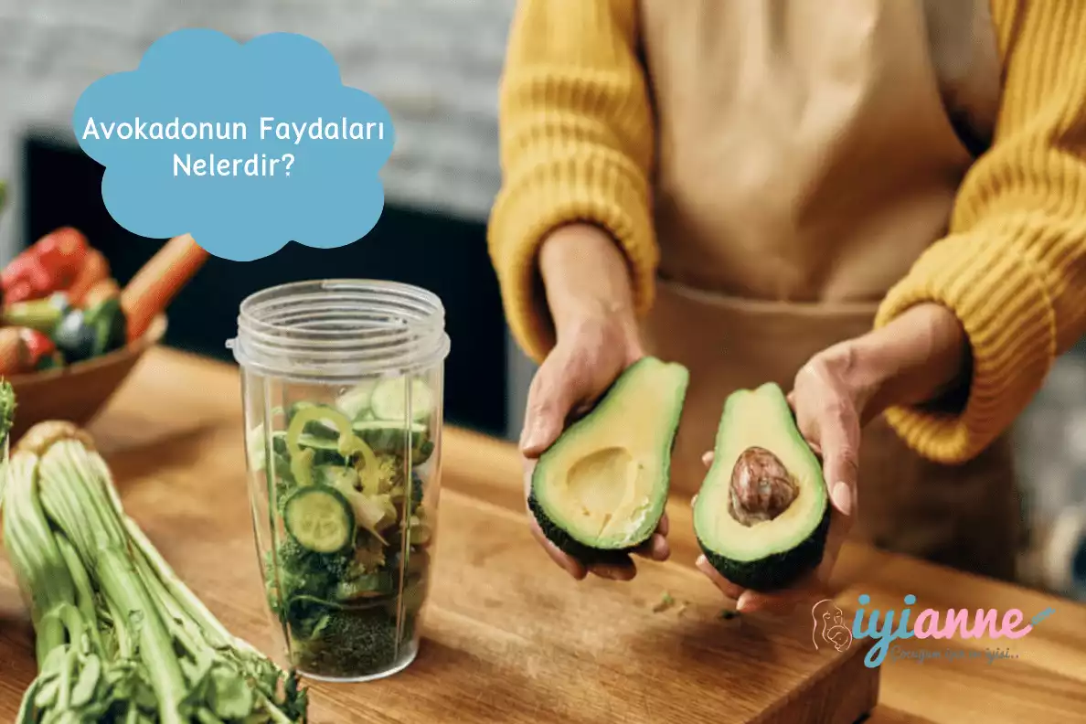 Avokadonun faydaları nelerdir?