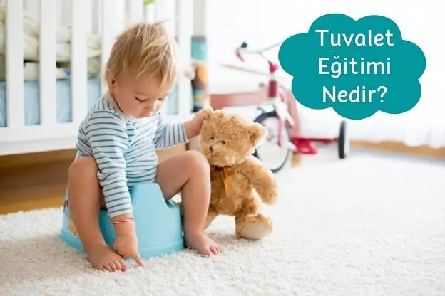 Tuvalet Eğitimi Nedir