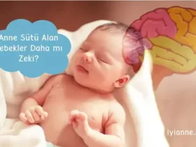 Anne Sütü Alan bebekler dahamı zeki