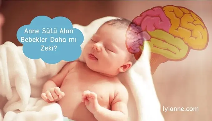 Anne Sütü Alan bebekler dahamı zeki