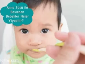 Bebekler Neler Yiyebilir