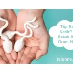 Tüp bebek Nedir Tüp bebek başarı oranı nedir