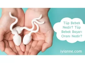 Tüp bebek Nedir Tüp bebek başarı oranı nedir